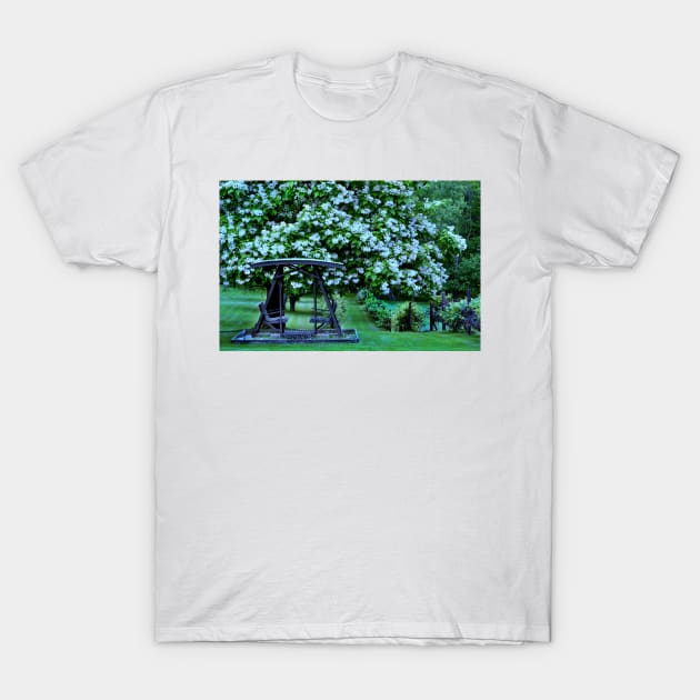 Catalpa tree in bloom T-Shirt by LaurieMinor